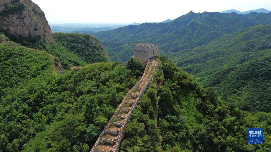 博牛注册码